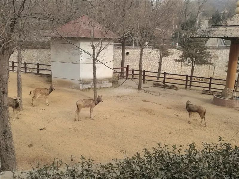 今晚澳門特馬開什么今晚四不像,精細化策略定義探討_動態(tài)版78.155