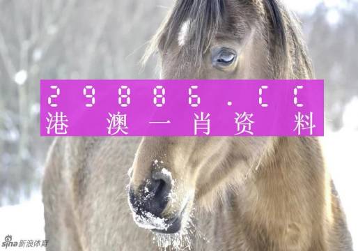 澳門一肖一碼精準100,國產(chǎn)化作答解釋落實_標準版90.65.32