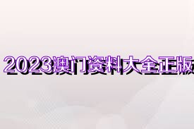 澳門資料大全正版資料2023年免費,決策資料解釋落實_win305.210