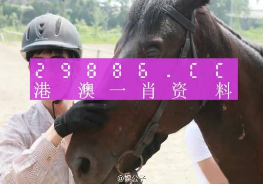 澳門(mén)今晚必中一肖一碼準(zhǔn),確保成語(yǔ)解釋落實(shí)的問(wèn)題_特別版2.336