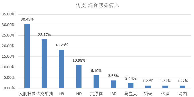 新澳一碼資料,市場趨勢方案實施_游戲版256.183