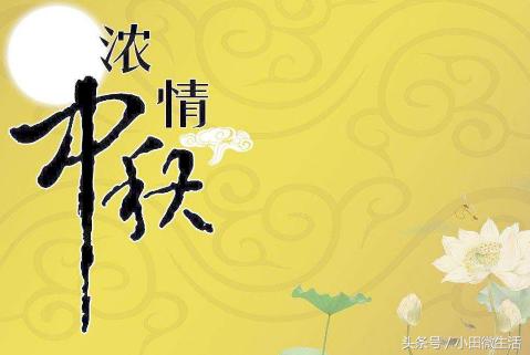 澳ⅰ門天天好彩,準(zhǔn)確資料解釋落實_完整版2.18