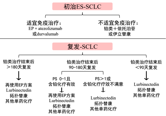 新奧管家婆資料2024年85期,理論分析解析說明_eShop80.688