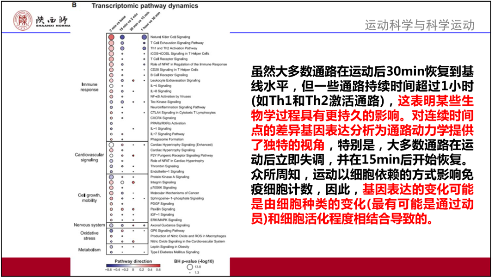 澳門4949開獎結(jié)果最快,效率資料解釋定義_8DM96.767