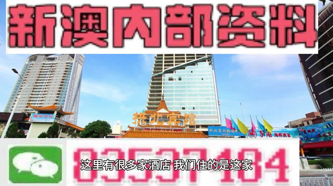 2024新澳最精準(zhǔn)免費(fèi)資料,實(shí)地分析數(shù)據(jù)設(shè)計(jì)_潮流版91.813