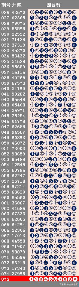 246天天天彩天好彩944cc,適用性策略設計_策略版81.284