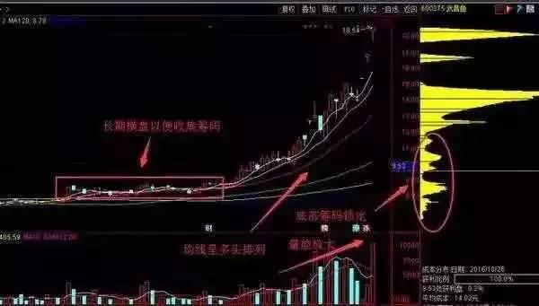 澳門今天晚上特馬開什么,快捷問題解決方案_X版16.52